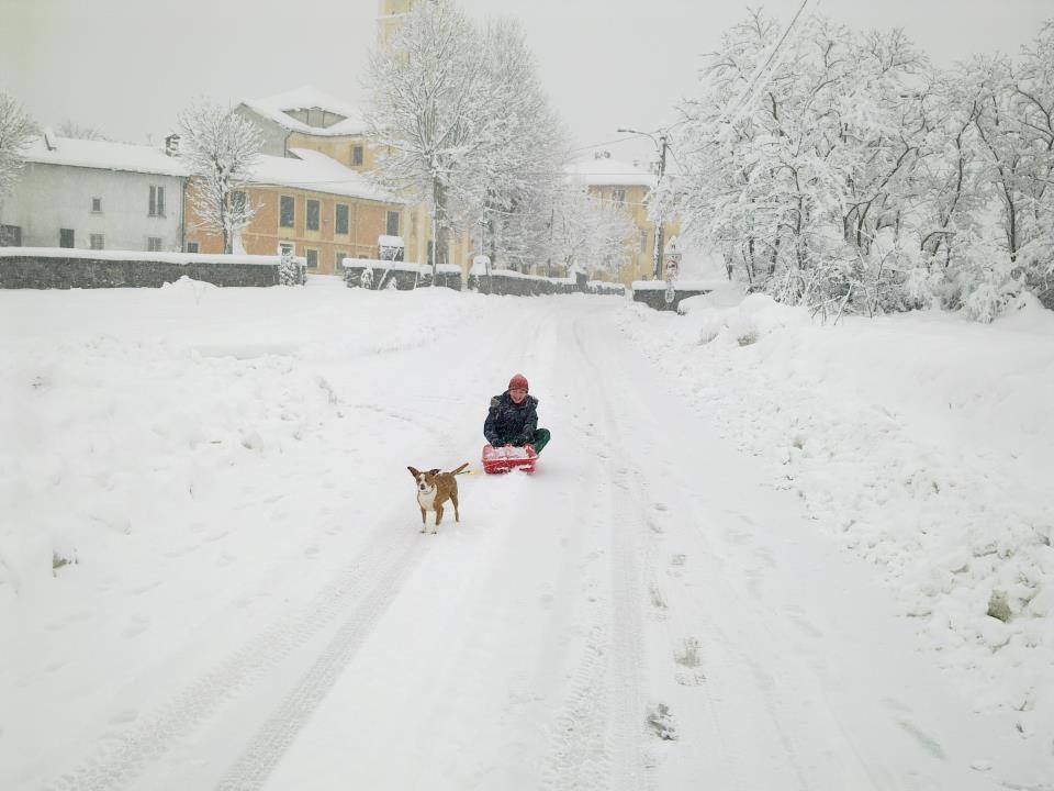 Il Portico 3*